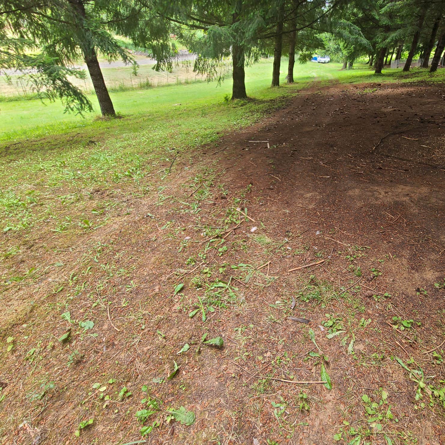 Ultimate Guide to Camping at Hagg Lake: Tips & Tricks