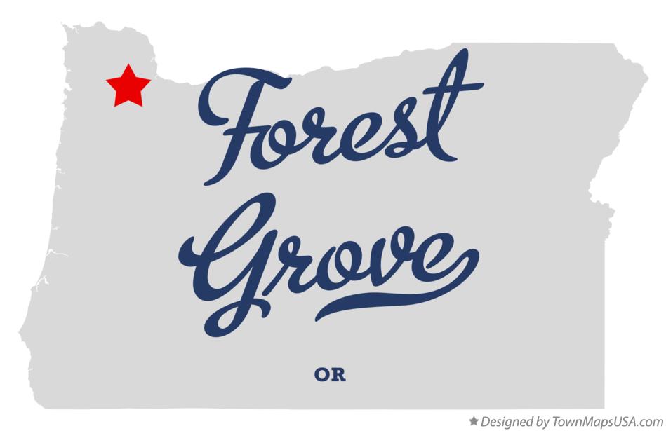 Chiropractor Forest Grove Oregon: Expert Care for Pain Relief Chiropractor Forest Grove Oregon: Expert Care for Pain Relief
