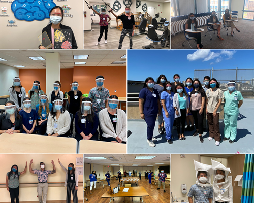Hawaii Pacific University Career Opportunities: Your Path to Success