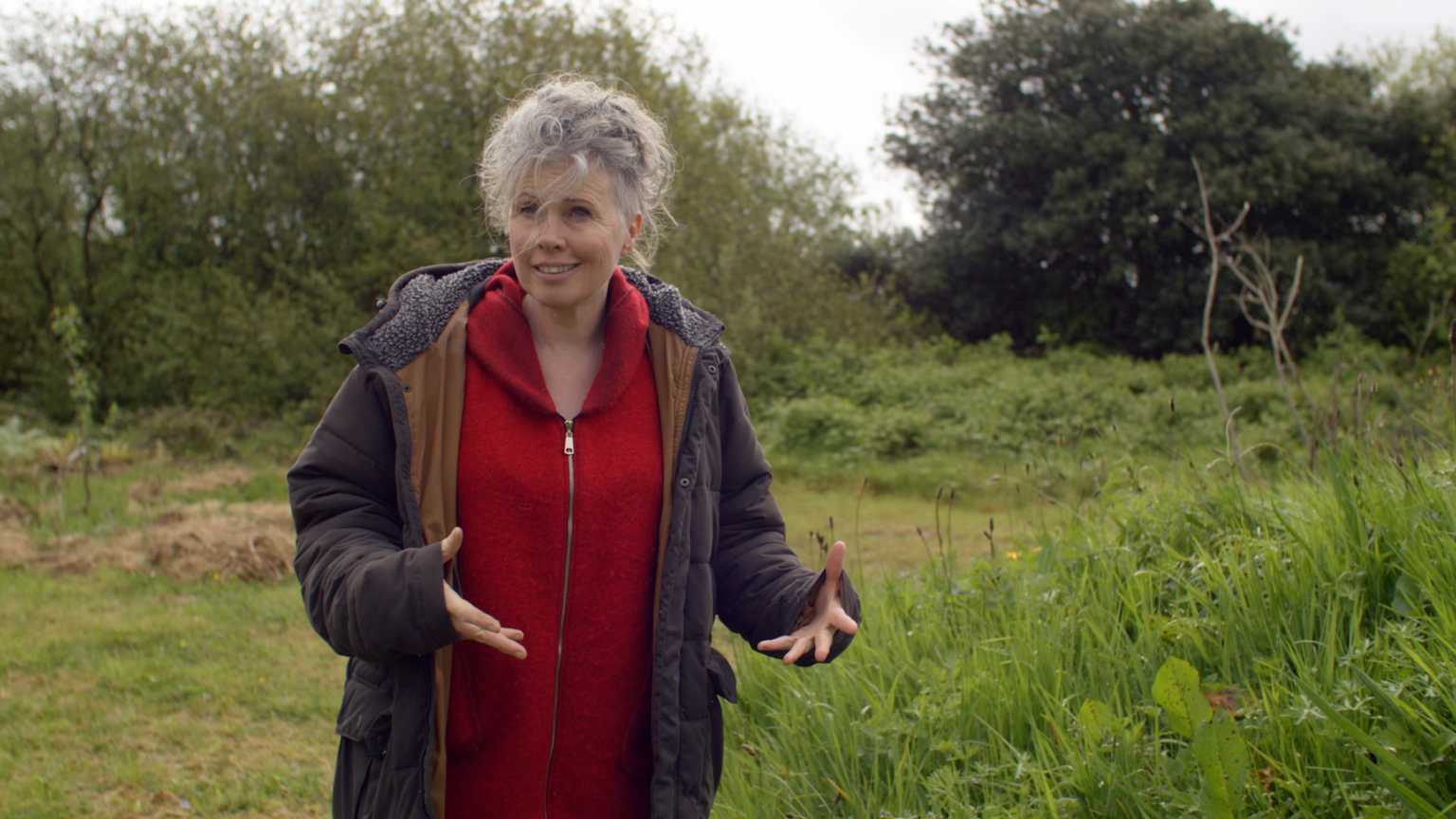 Mary Reynolds Be A Guardian Not A Gardener Mary Reynolds Be A Guardian Not A Gardener