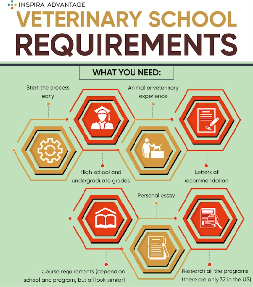 Pharmacy School Requirements In 2024 A Complete Guide Pharmacy School Requirements In 2024 A Complete Guide