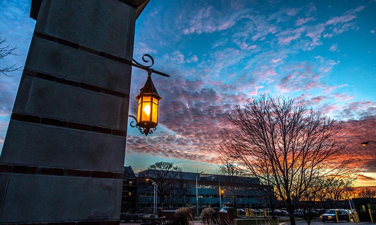 Phi Alpha Honor Society: Empowering Social Work Excellence