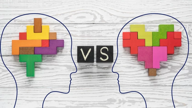 The Wise Mind Emotional Vs Rational Wise Mind Emotion Vrogue Co The Wise Mind Emotional Vs Rational Wise Mind Emotion Vrogue Co
