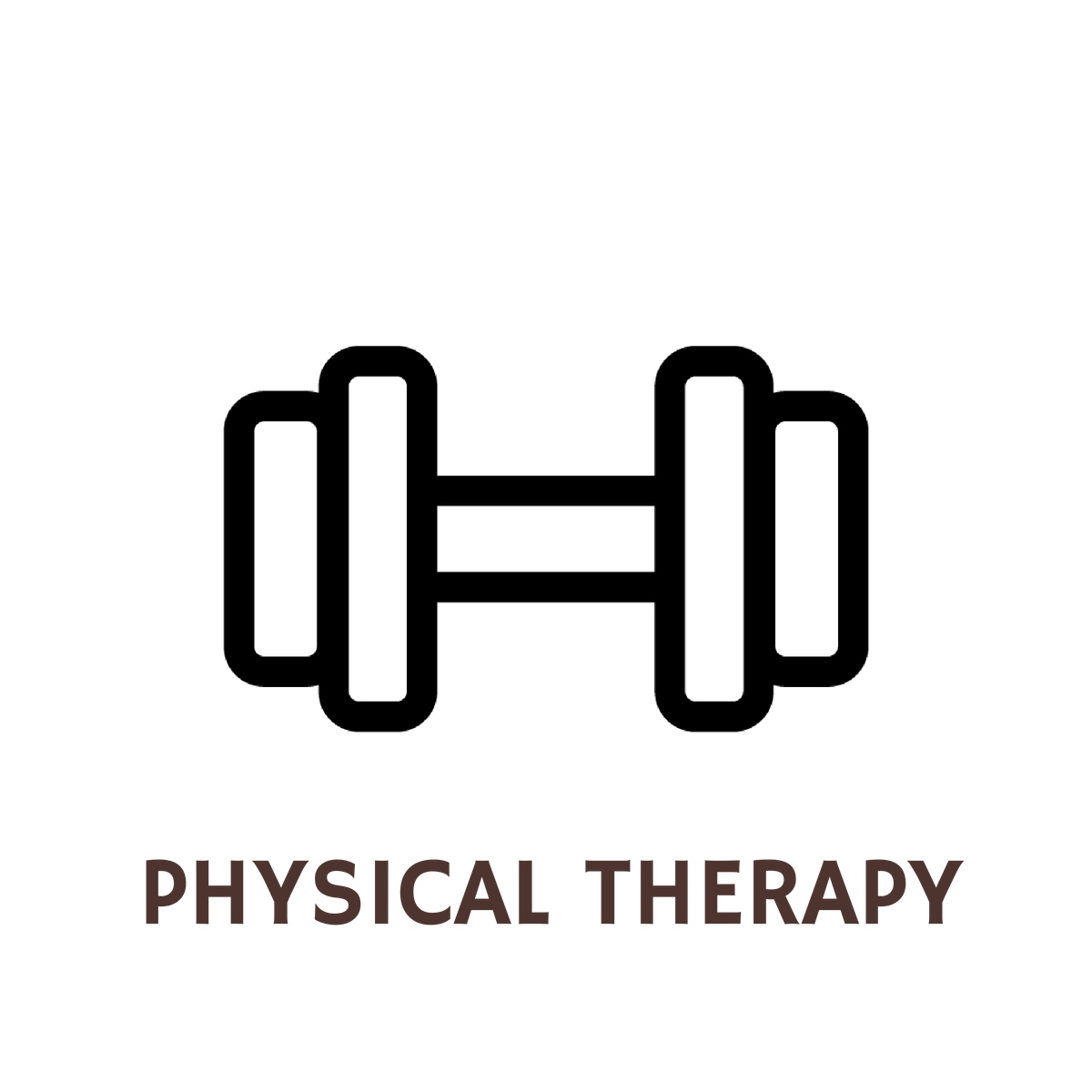 What Can I Do With A Degree In Physical Therapy Degreequery Com What Can I Do With A Degree In Physical Therapy Degreequery Com