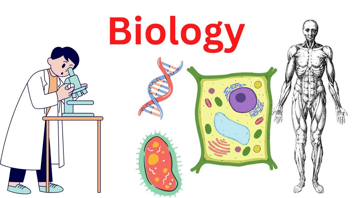 What Is Biology Definition Concepts Research Method What Is Biology Definition Concepts Research Method
